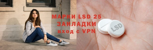 индика Алексин