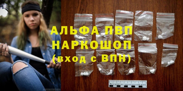 индика Алексин