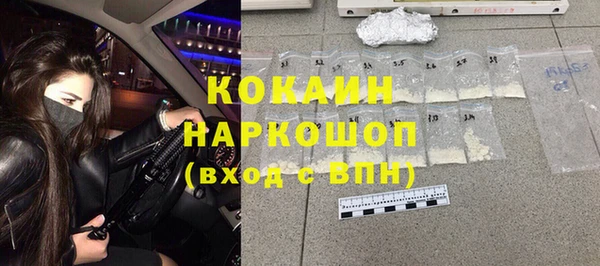 индика Алексин