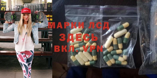 индика Алексин