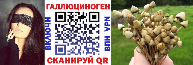 Галлюциногенные грибы Psilocybine cubensis Нижний Тагил